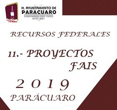 11.- PROYECTOS FAIS