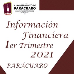 Primer Trimestre