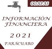 INFORMACION FINANCIERA